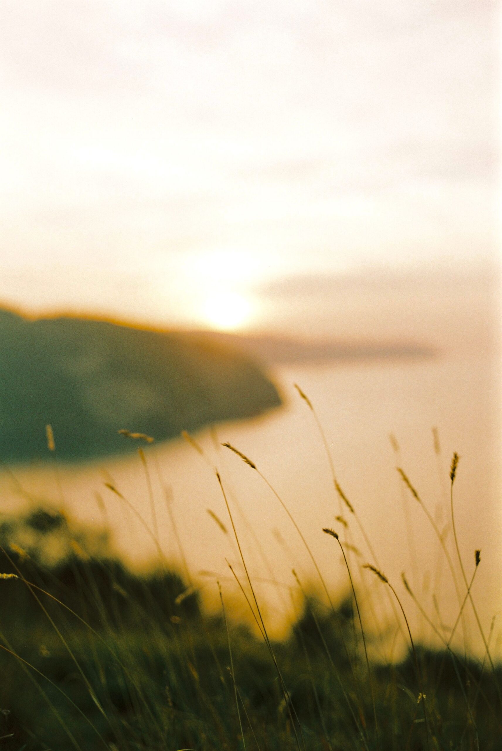 Hazy shot from a mountain over water. Sprouted grass in view. A metaphor for re-invention as grass grows from blades to sprouting.